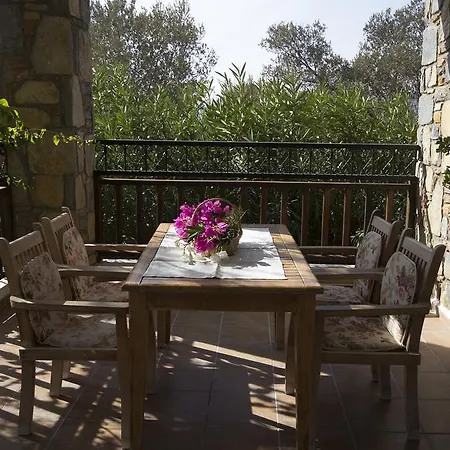 Salmakis Villas - Su 빌라 *