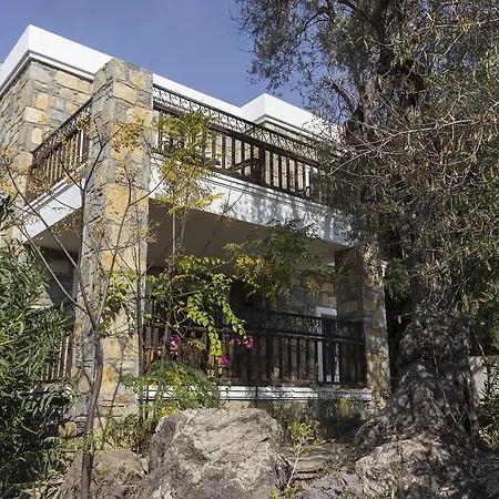 Salmakis Villas - Su * 오르타켄트